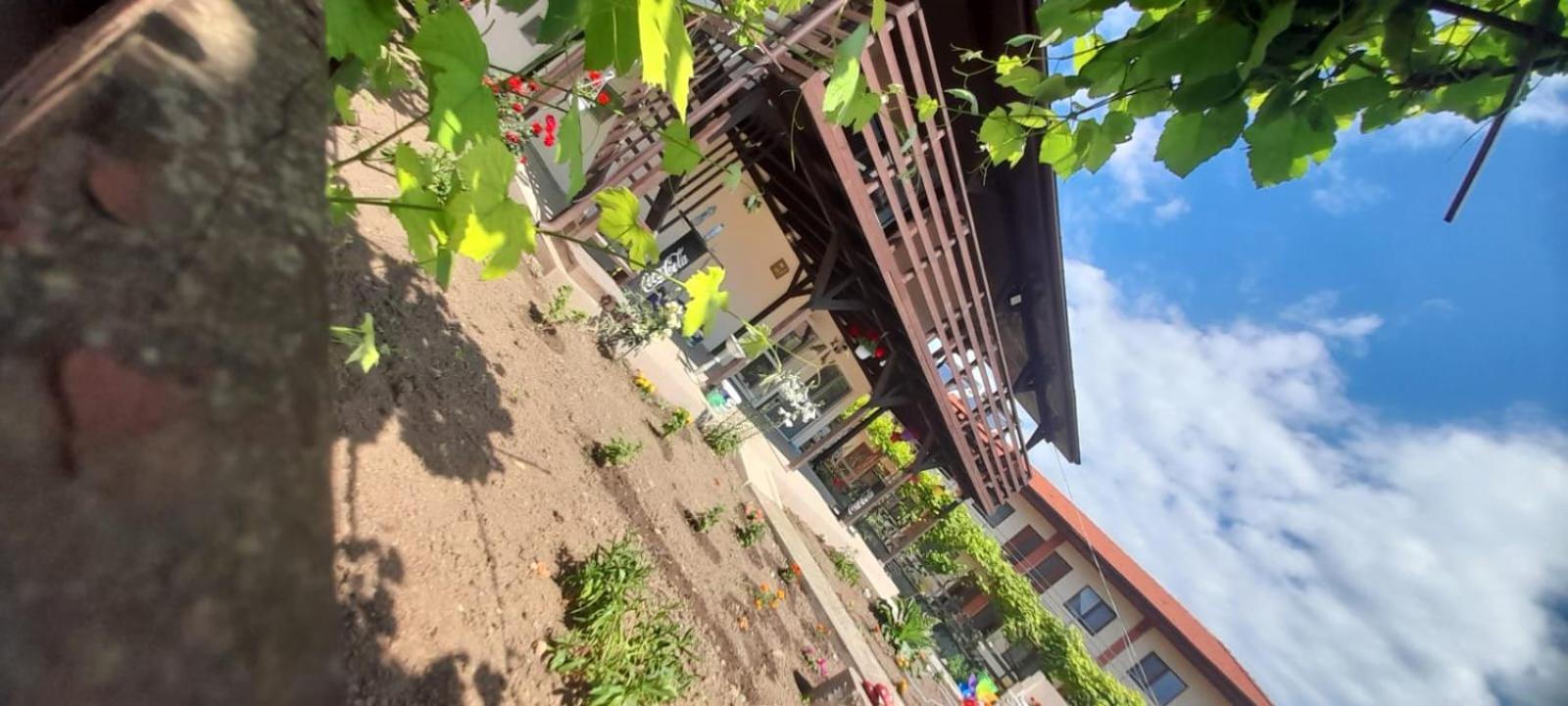 旧瓦马Casa Calin公寓 外观 照片