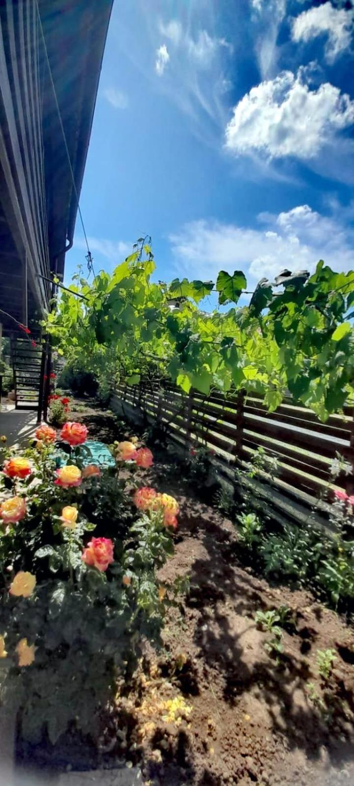 旧瓦马Casa Calin公寓 外观 照片